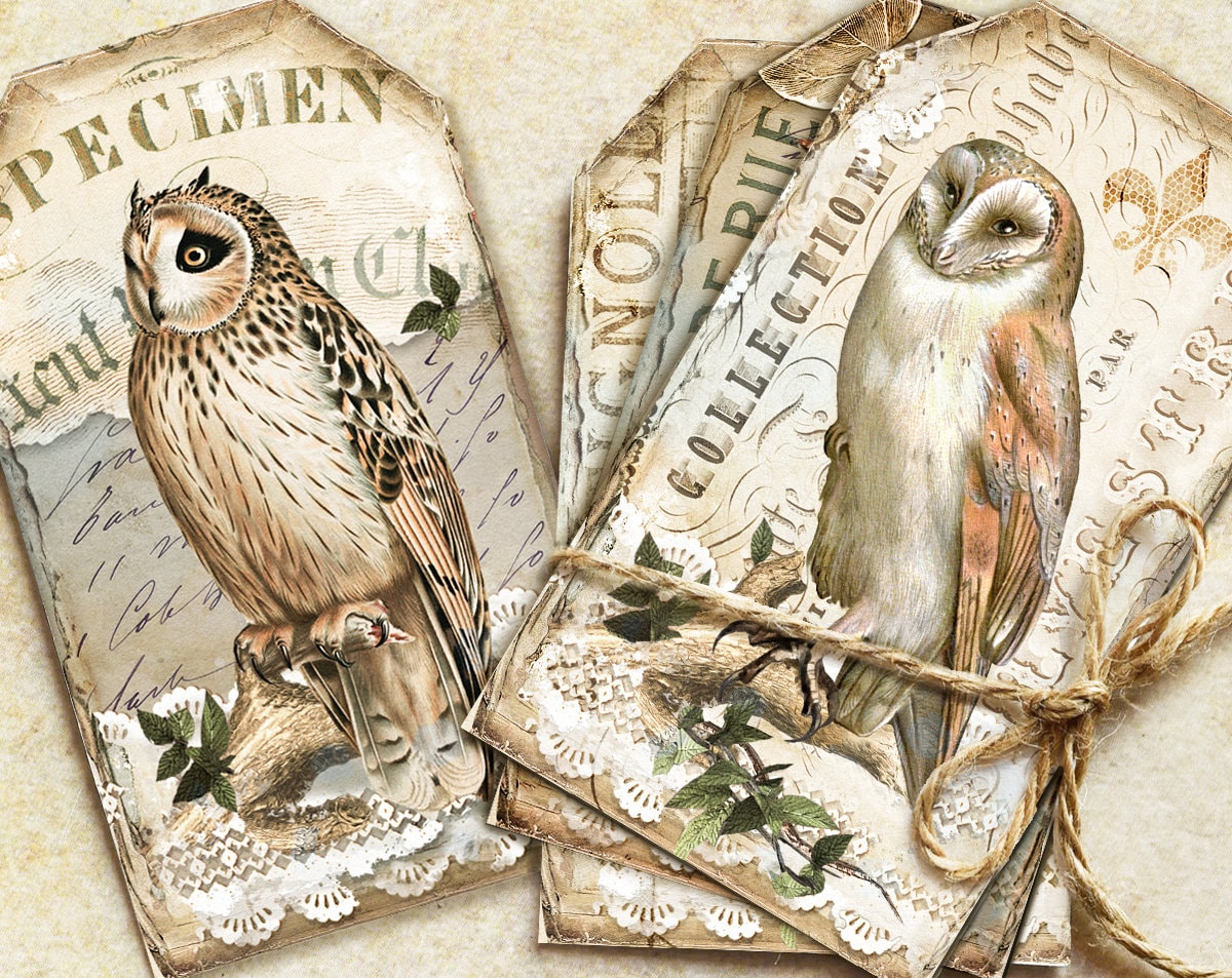 Vintage Owl Journal Ephemera, Vintage Owl Journal Tags, Owl Cards, Owl Printable,Vintage Birds Cards