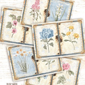 May include: A set of eight vintage-style cards featuring watercolour illustrations of various flowers. Each card has a blue and gold border with a lace design. The flowers include hydrangeas, roses, daisies, and more.