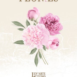 Pu&ograve; includere: Peonie rosa con foglie verdi su uno sfondo bianco. Il testo "PEONIES PINK" &egrave; nella parte superiore dell'immagine. Il testo "LEN'ARTE STUDIO REAL FLOWER CLIPART" &egrave; nella parte inferiore dell'immagine.