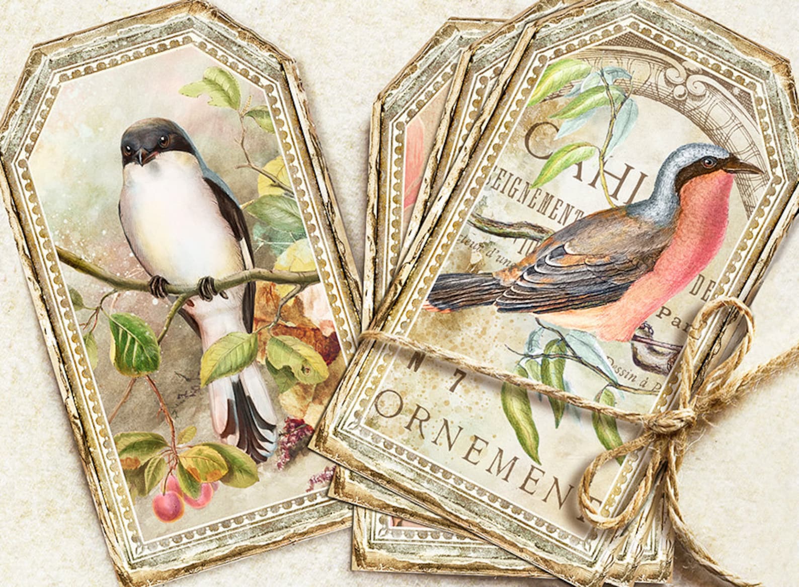 Vintage Birds Journal Tags, Birds Printable Tags, Vintage Garden Birds ...