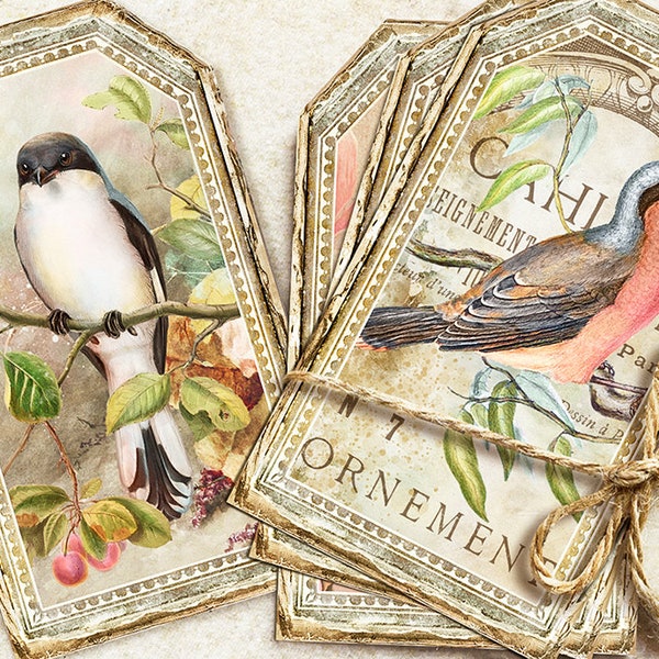 étiquettes de journal d’oiseaux vintage, étiquettes imprimables d’oiseaux, oiseaux de jardin vintage, image d’oiseaux, fournitures de journal d’oiseaux sauvages, encarts de journaux, étiquettes cadeaux