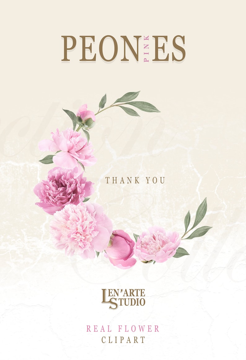 Pu&ograve; includere: Peonie rosa disposte in cerchio con foglie verdi. Il testo "PEONIES PINK" &egrave; in alto nell'immagine. Il testo "THANK YOU" &egrave; al centro dell'immagine. Il testo "LEN'ARTE STUDIO" &egrave; in basso nell'immagine. Il testo "REAL FLOWER CLIPART" &egrave; sotto il nome dello studio.