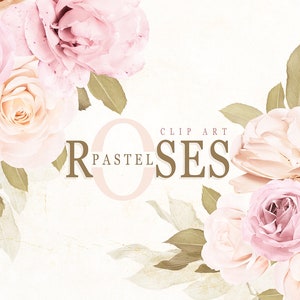 Clipart de rosas pastel, clipart de buquê de rosas cor de rosa, clipart de flores reais, clipart floral, arranjo floral, convites DIY de flores, rosas png