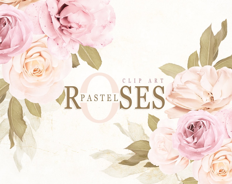 Pode incluir: Rosas rosa pastel e creme com folhas verdes. Clip art, rosas pastel.