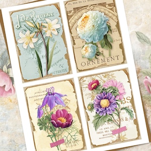 May include: Four vintage floral cards with text in French and English. The cards feature a white lily, a blue peony, a purple aster, and a pink anemone.
