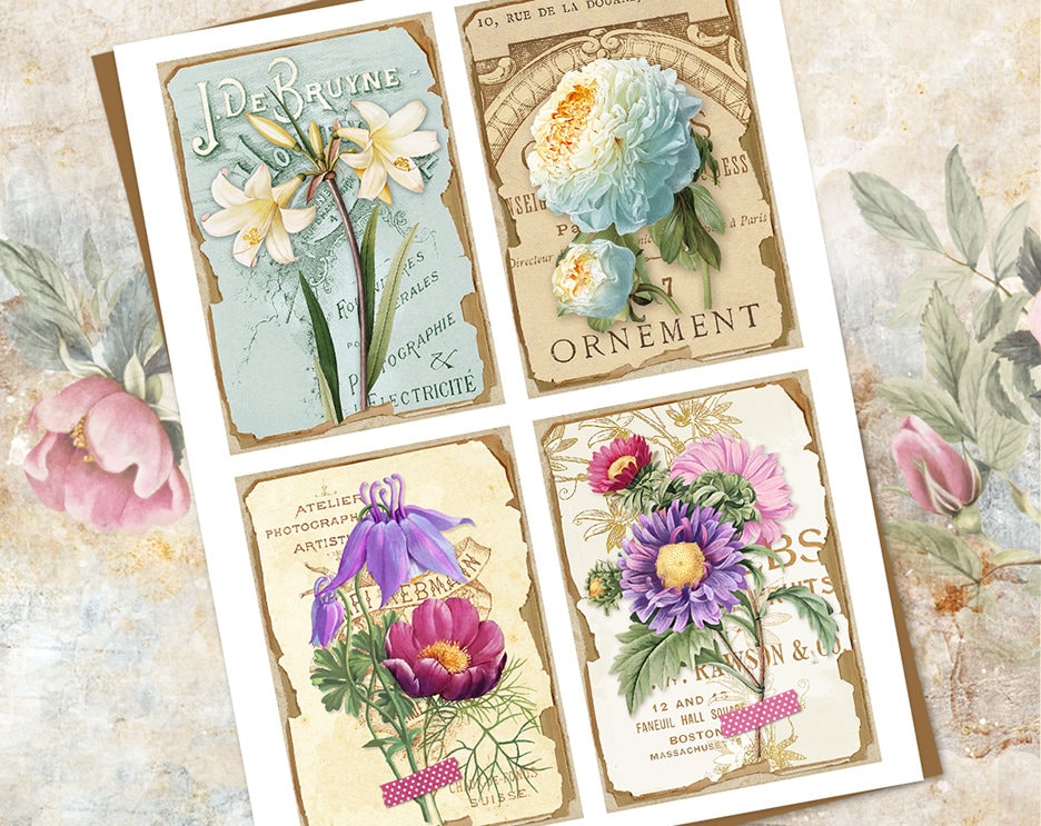 Vintage Botanical Card Set, Junk Journal Printable Floral Cards, Spring ...