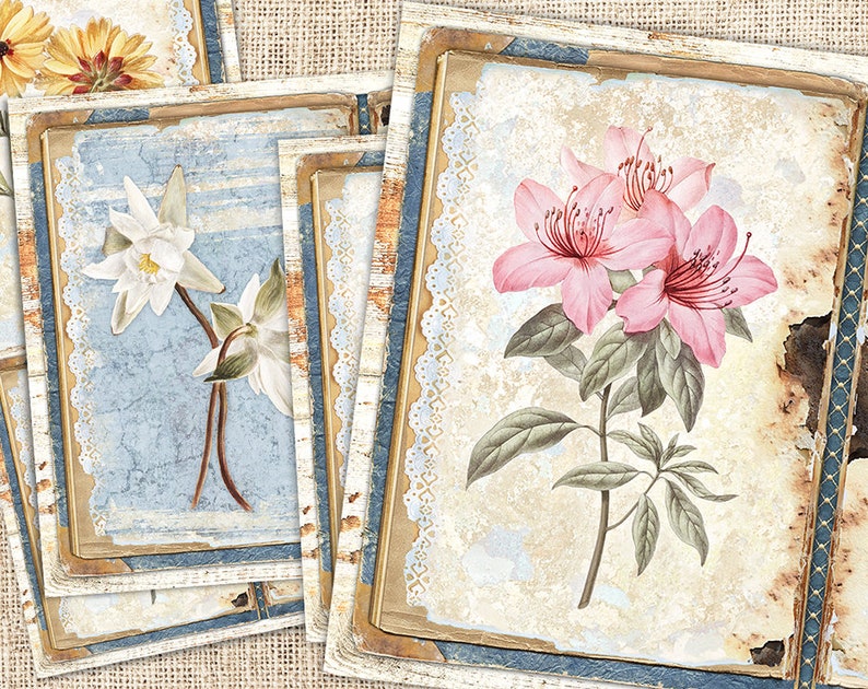 May include: Four vintage-style cards with floral illustrations. Each card features a different flower, including a pink flower, a white flower, and a yellow flower. The cards have a distressed, aged look with a blue and white lace border.