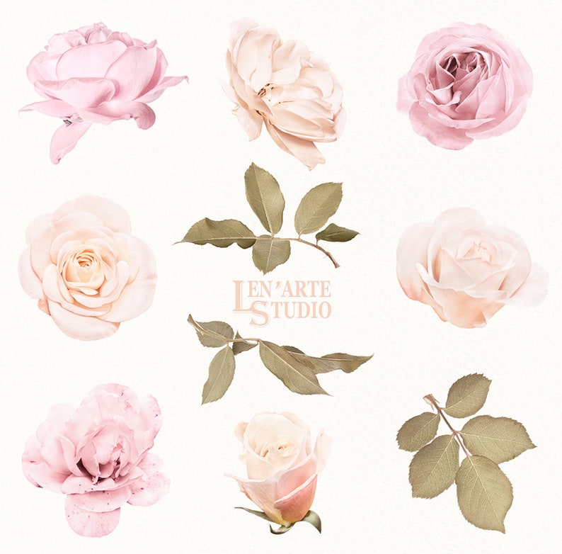 Pode incluir: Nove rosas delicadas de cor rosa e creme com folhas verdes. As rosas est&atilde;o dispostas em um padr&atilde;o circular com o texto "Len'Arte Studio" no centro.