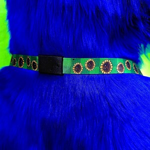 May include: Green dog collar with a sunflower pattern. The collar has a black plastic buckle and is set against a vibrant blue background. The sunflowers are yellow and brown.