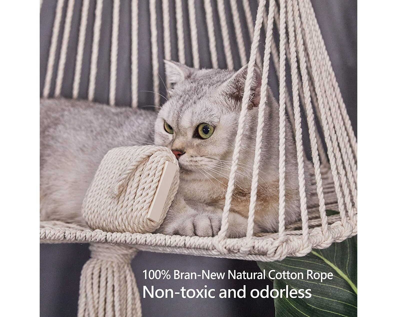 Macrame Gato Hamaock Cama Cama colgante de pared Hamacas Etsy