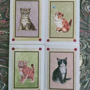 Cartão e envelope de gato