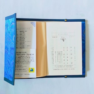 Marbled Pocket edition "Bunkobon" book cover