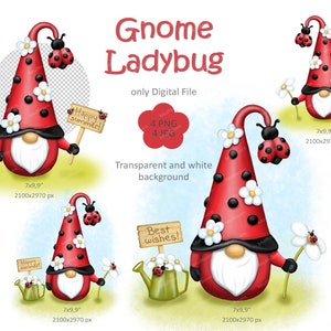 Ladybug Gnome PNG, Gnome clipart, Watercolor clipart, Holiday printable decor, Ladybug PNG for mugs and T=shirts