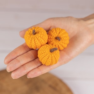 May include: Three small crocheted pumpkins in a hand. The pumpkins are orange and have brown stems.
