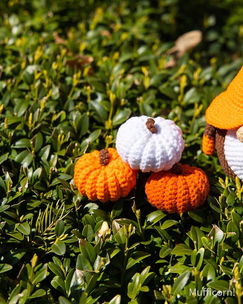 Crochet patterns amigurumi gnome with pumpkin, Crochet gnome and crochet pumpkin pattern, Halloween crochet pattern, Crochet Halloween decor image 10