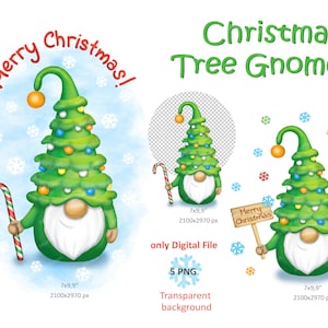Christmas tree gnome PNG , Gnome clipart, Christmas gnome PNG, Holiday printable decor, Christmas PNG design for mugs and T-shirts
