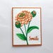 see more listings in the Cartes d’encouragement section