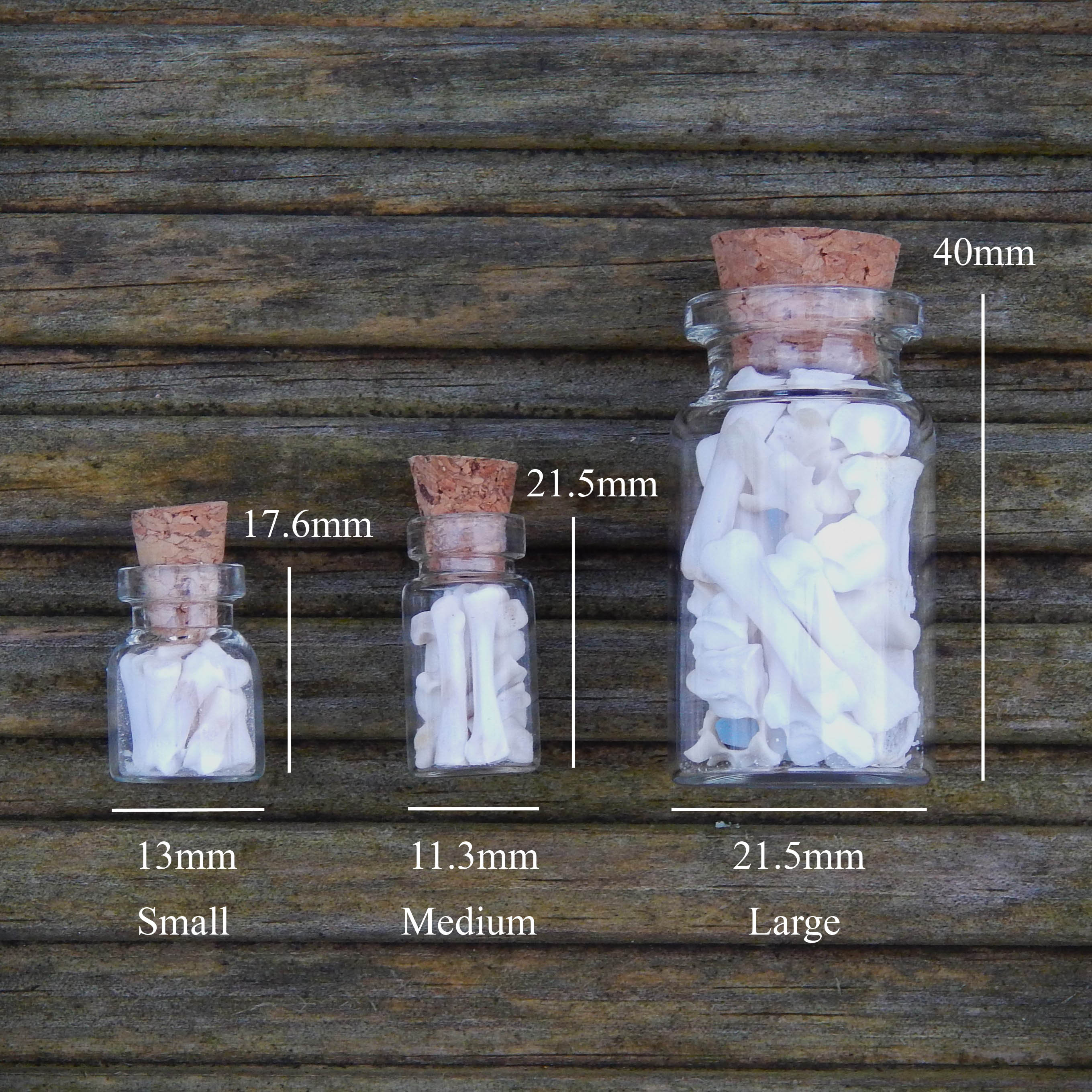 Real Little Bones, Bottle of Bones, Small, Medium or Large Bottle
