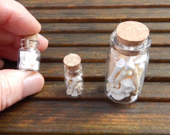 Real little bones, bottle of bones, small, medium or large bottle charm of mixed bones.  Foraged finds, display, craft, nature collectible.