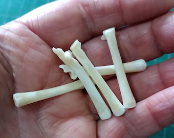 5 foraged real bones for crafts, display, divination, casting, jewellery or display