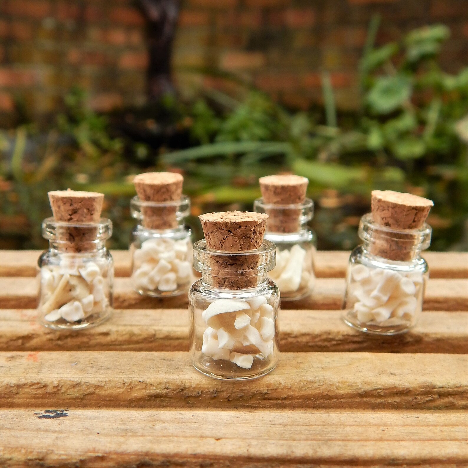 Real bones bottle of bones tiny bones bottle charm medium Etsy