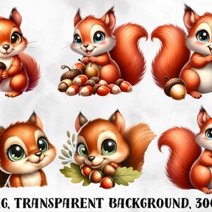 May include: Six digital illustrations of cute cartoon squirrels with large eyes. The squirrels are brown and orange with fluffy tails. Some of the squirrels are holding acorns. The illustrations are on a white background.
