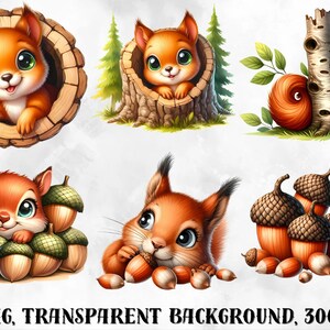 May include: A set of 18 digital illustrations featuring cute cartoon squirrels in various poses. The squirrels are depicted in a woodland setting with acorns and tree trunks. The images are perfect for crafting projects, scrapbooking, and digital design.