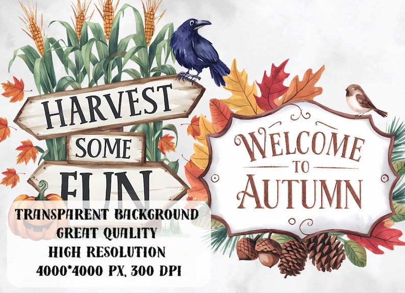 May include: Watercolor illustration with autumn theme. Features signs that read "Harvest Some Fun" and "Welcome to Autumn". Includes corn stalks, fall leaves, a crow, a bird, acorns, and pinecones. The image has text that says "Transparent Background, Great Quality, High Resolution, 4000*4000 PX, 300 DPI."