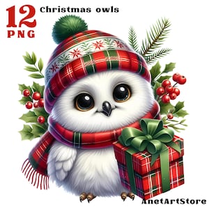 Eulen Clipart, Eulen Clipart, lustige Eule png Weihnachten Eule, süsse Eule Clipart Winter, Eule Clipart, Urlaub Eule Winter Aquarell