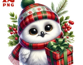 Owl clipart, owls clipart Funny owl png Christmas owl Christmas clipart Cute owl clipart Winter owl clipart Holiday owl Winter watercolour