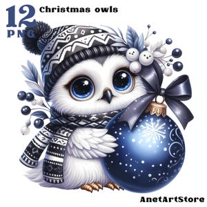 Eulen Clipart, Eulen Clipart, lustige Eule png Weihnachten Eule, süsse Eule Clipart Winter, Eule Clipart, Urlaub Eule Winter Aquarell