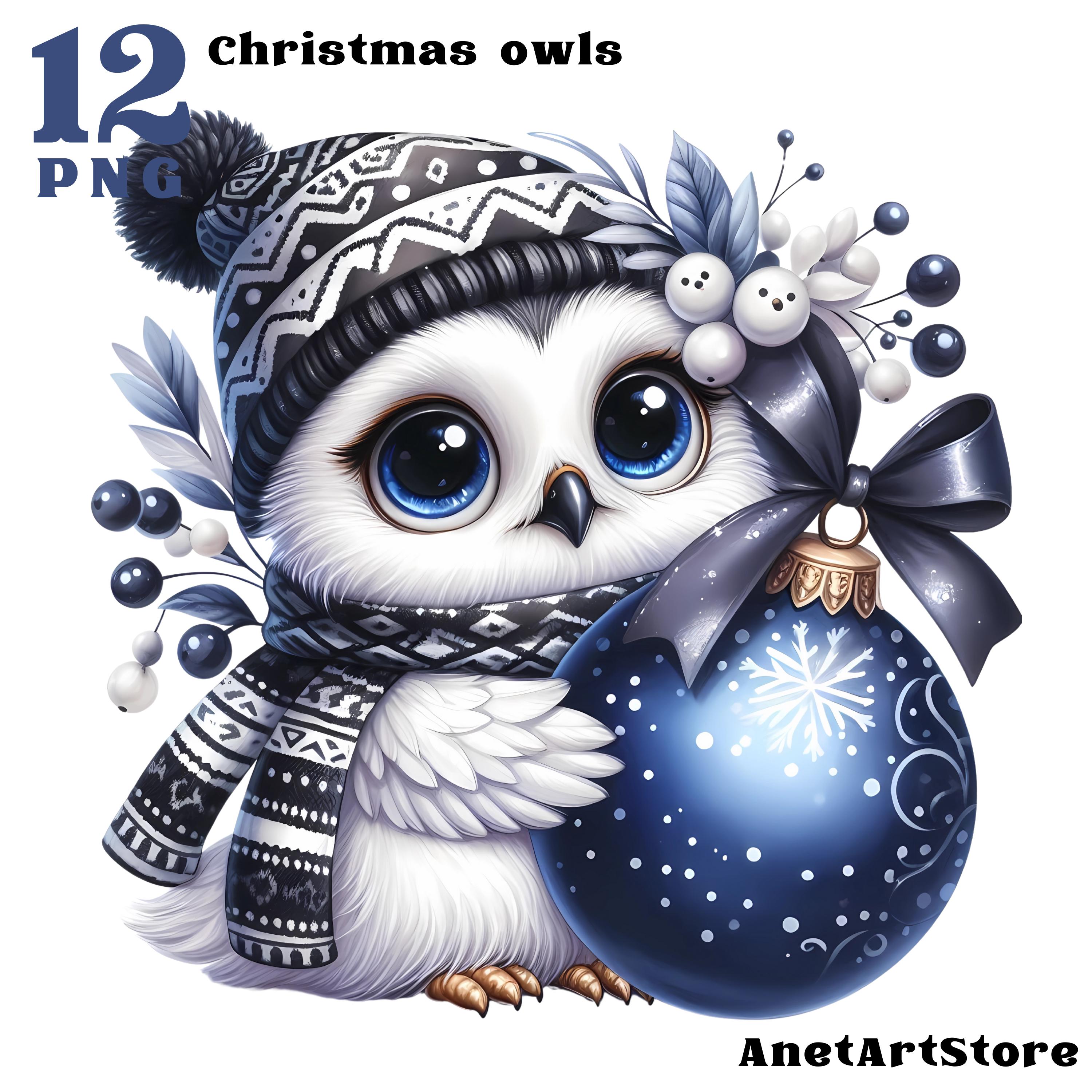 Owl clipart, owls clipart Funny owl png Christmas owl Christmas clipart Cute owl clipart Winter owl 