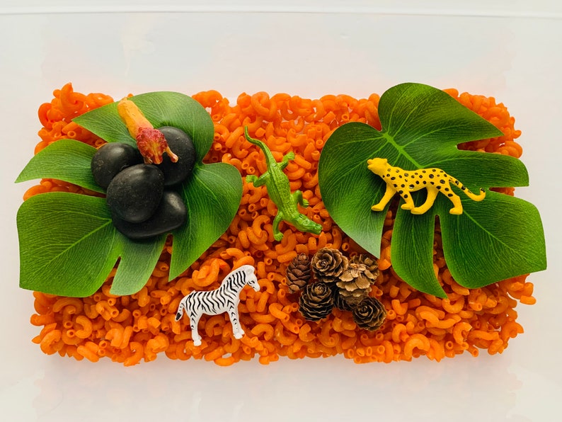 Simple Sensory /'Animal Kingdom/' Kit