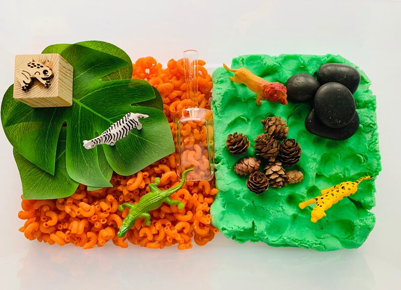 Simple Sensory /'Animal Kingdom/' Kit