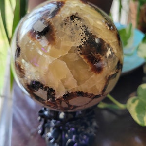 Septarische Kugel, Natürlicher Drachenstein, Septarian, Natur, Kristalle, Aragonit, Calcit, Kalkstein
