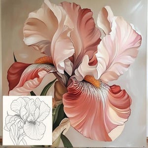May include: A large, detailed painting of an iris flower in shades of pink, peach, and white. The petals are layered and textured, with a hint of yellow and orange at the center. A smaller black and white line drawing of the flower is in the lower left corner.