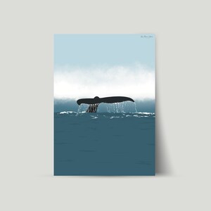 Whale illustration