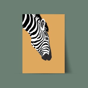 Zebra Illustration