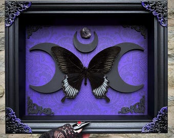 Giant Black Phoenix Butterfly Insect Art: Handmade Gothic Triple Moon Amethyst Entomology Display