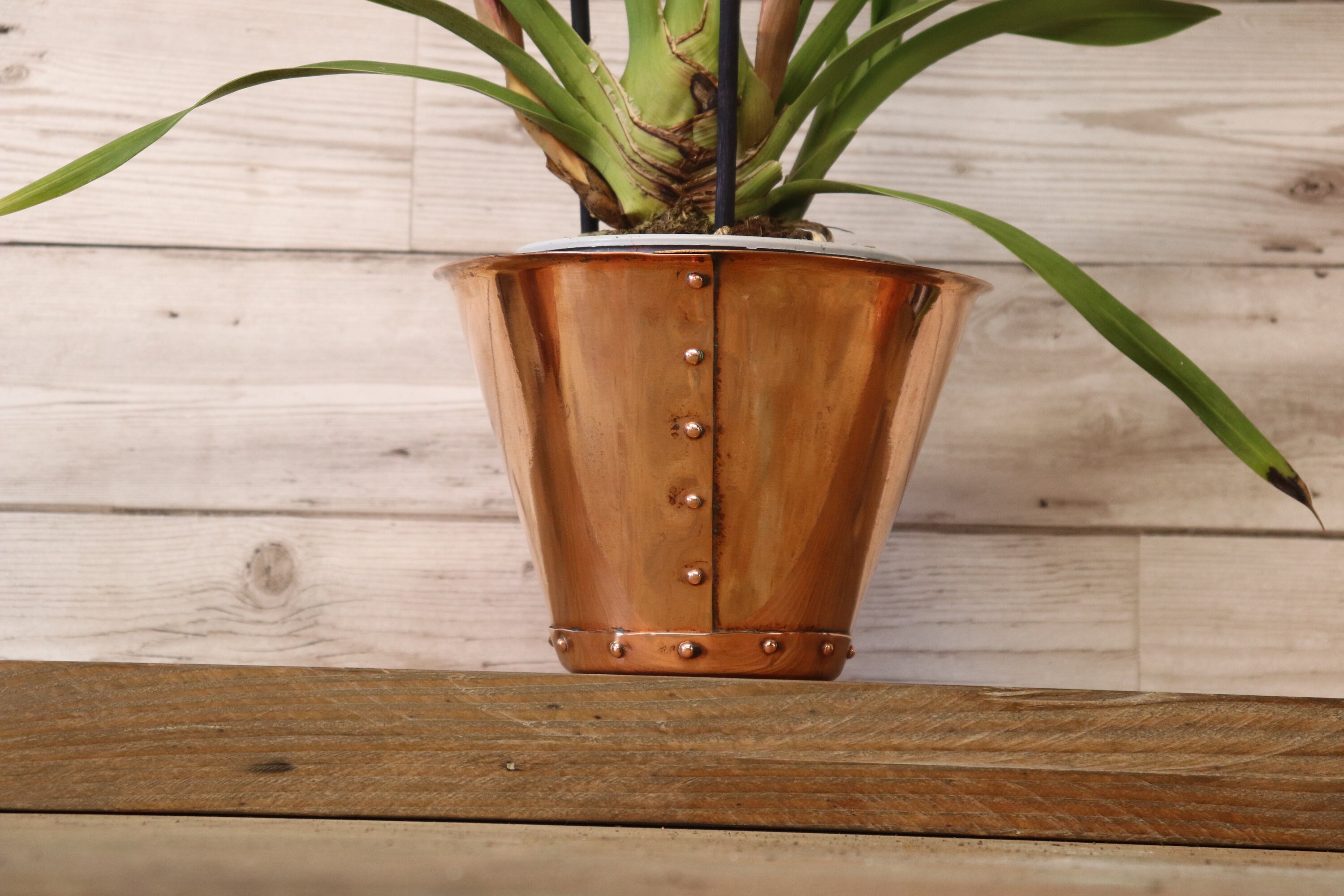 Planter Rivets Polished Copper Planters With Copper Rivets - Etsy Australia