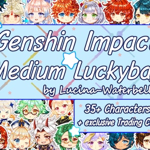 Medium Genshin Luckybag (M) - Random filling