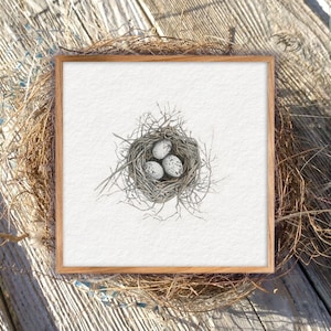 BIRD NEST Watercolor Art Print ~ Printable Bird Wall Decor ~ Bird Painting Nest ~ Cardinal Nest~ Nest with eggs ~ Spring Digital Download