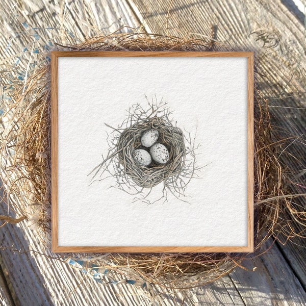 BIRD NEST Watercolor Art Print ~ Printable Bird Wall Decor ~ Bird Painting Nest ~ Cardinal Nest~ Nest with eggs ~ Spring Digital Download