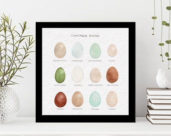 Chicken Egg Colors ~ Watercolor Color Chart ~ Original Art ~ Chicken breed eggs ~Digital Download ~ jpg, png sublimation ~ square printable