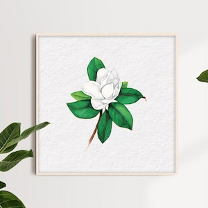 Magnolia Bud ~ original watercolor print ~ watercolor art ~ floral wall art ~ floral print