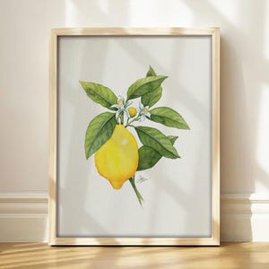 May include: A framed watercolor print featuring a single bright yellow lemon hanging from a green leafy branch with two small white blossoms and a tiny bud. The artwork is centered on a light off-white background within a light wood frame.