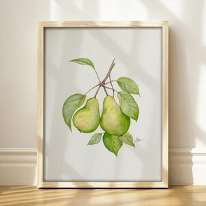 May include: A framed watercolor painting featuring two green pears hanging from a brown stem with several green leaves. The artwork is presented in a light-colored wooden frame, showcasing a botanical illustration of fruit on a white background.