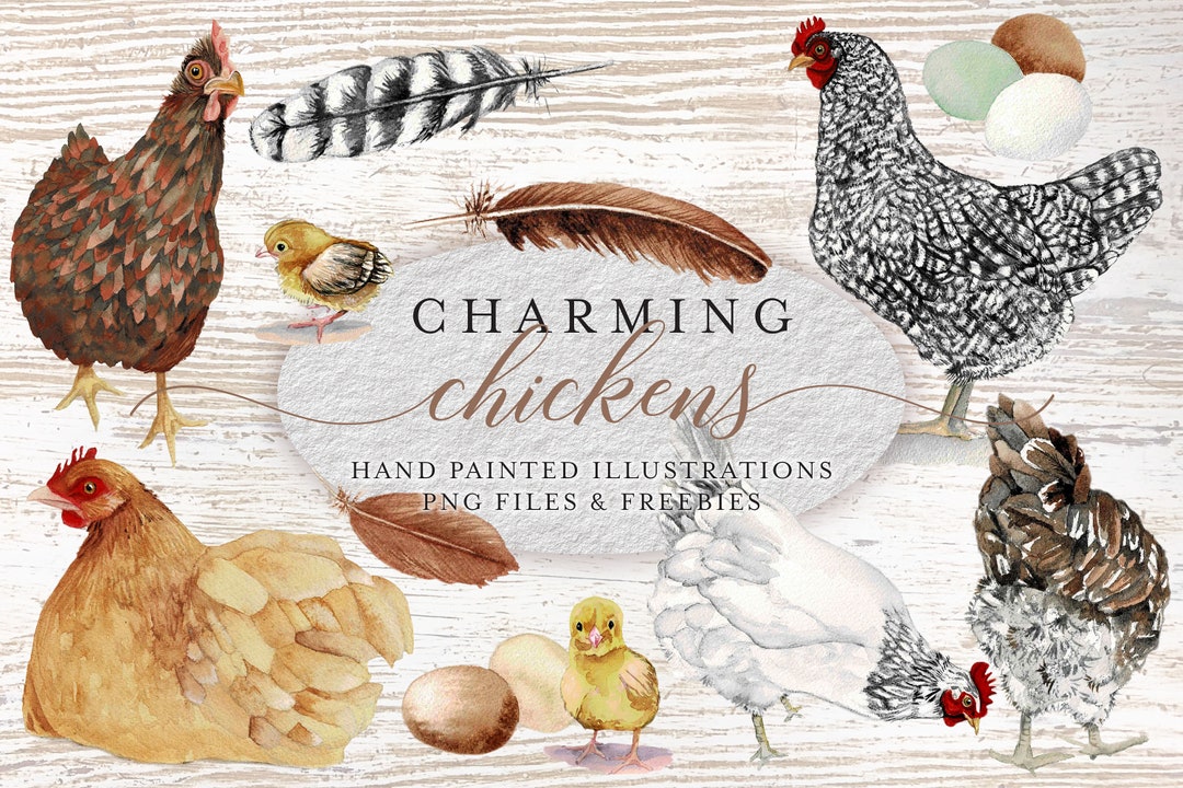 Chickens Watercolor Clipart Collection - PNG - JPG - Instant Download ...