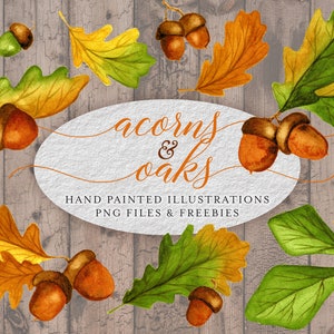 Puede incluir: Ilustración en acuarela de bellotas y hojas de roble en colores otoñales. La imagen incluye el texto "acorns & oaks" y "HAND PAINTED ILLUSTRATIONS PNG FILES & FREEBIES" sobre un fondo texturizado.