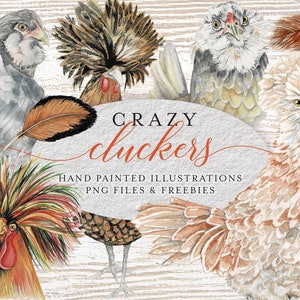 Colección original de acuarela de pollos - Cluckers divertidos - PNG - JPG - Descargar - Animales de granja - Clip Art - Frizzle - Polaco - Aceituna de Pascua